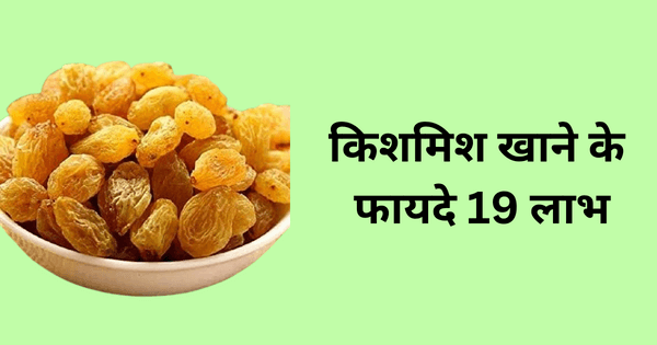 किशमिश खाने के फायदे 19 लाभ